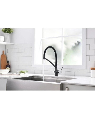 Смеситель для кухни с фильтром Paulmark Sigen SI213111-418 + H851P00