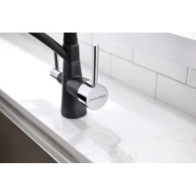 Смеситель для кухни с фильтром Paulmark Sigen SI213111-418 + H851P00