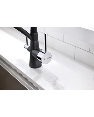 Смеситель для кухни с фильтром Paulmark Sigen SI213111-418 + H851P00