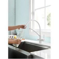 Смеситель для кухни с фильтром Paulmark Sigen SI213111-431TW + H851P00