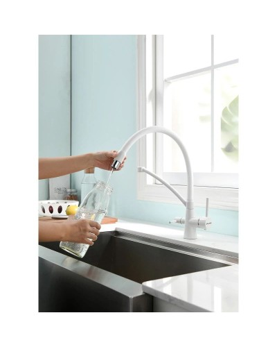 Смеситель для кухни с фильтром Paulmark Sigen SI213111-431TW + H851P00