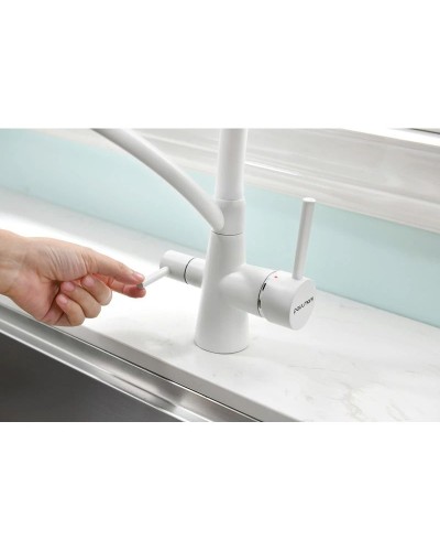 Смеситель для кухни с фильтром Paulmark Sigen SI213111-431TW + H851P00