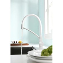 Смеситель для кухни с фильтром Paulmark Sigen SI213111-431TW + H851P00