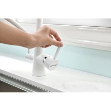 Смеситель для кухни с фильтром Paulmark Sigen SI213111-431TW + H851P00