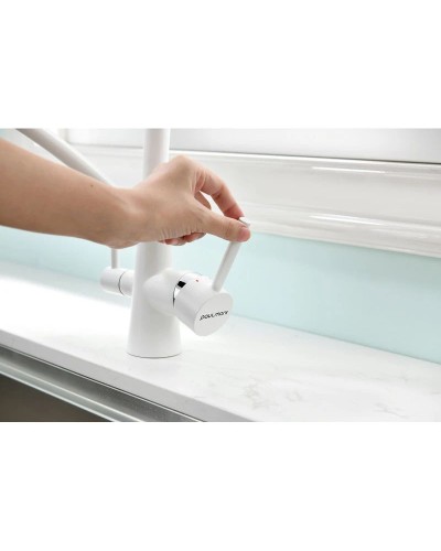 Смеситель для кухни с фильтром Paulmark Sigen SI213111-431TW + H851P00