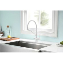 Смеситель для кухни с фильтром Paulmark Sigen SI213111-431TW + H851P00