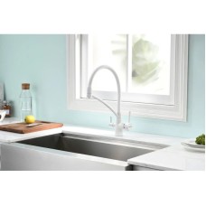 Смеситель для кухни с фильтром Paulmark Sigen SI213111-431TW + H851P00