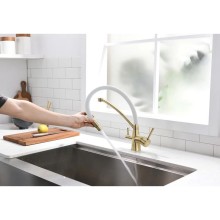 Смеситель для кухни с фильтром Paulmark Sigen SI213111-BRW + H851P00