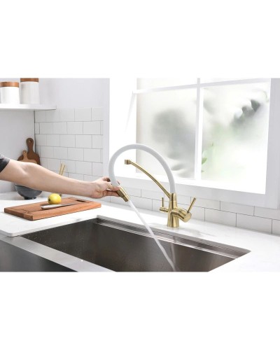 Смеситель для кухни с фильтром Paulmark Sigen SI213111-BRW + H851P00