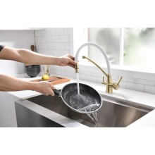 Смеситель для кухни с фильтром Paulmark Sigen SI213111-BRW + H851P00