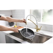 Смеситель для кухни с фильтром Paulmark Sigen SI213111-BRW + H851P00