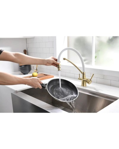 Смеситель для кухни с фильтром Paulmark Sigen SI213111-BRW + H851P00