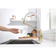 Смеситель для кухни с фильтром Paulmark Sigen SI213111-BRW + H851P00