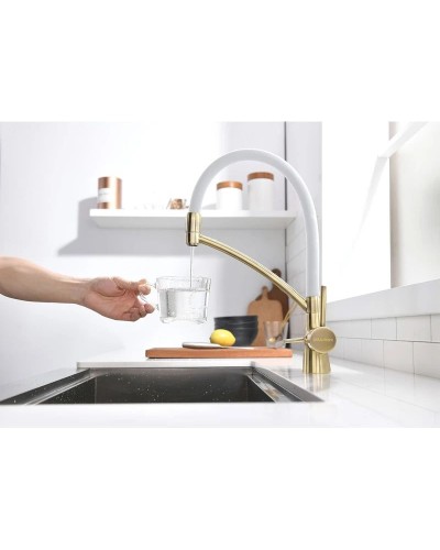 Смеситель для кухни с фильтром Paulmark Sigen SI213111-BRW + H851P00