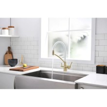 Смеситель для кухни с фильтром Paulmark Sigen SI213111-BRW + H851P00