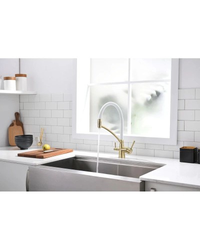 Смеситель для кухни с фильтром Paulmark Sigen SI213111-BRW + H851P00