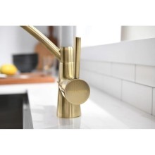 Смеситель для кухни с фильтром Paulmark Sigen SI213111-BRW + H851P00