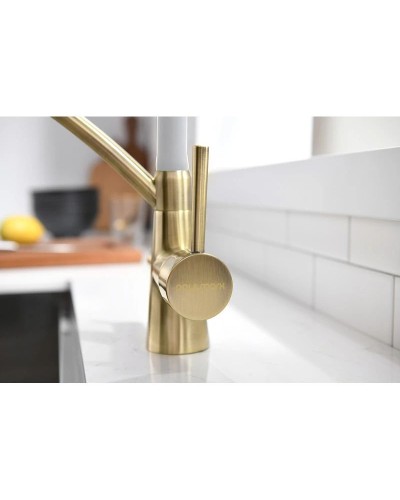 Смеситель для кухни с фильтром Paulmark Sigen SI213111-BRW + H851P00