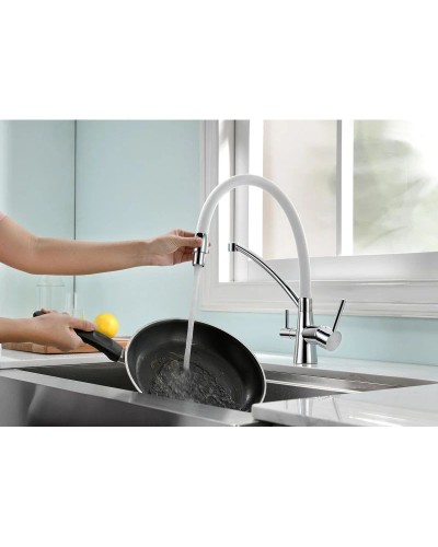 Смеситель для кухни с фильтром Paulmark Sigen SI213111-CRW + H851P00