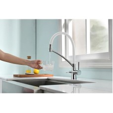 Смеситель для кухни с фильтром Paulmark Sigen SI213111-CRW + H851P00