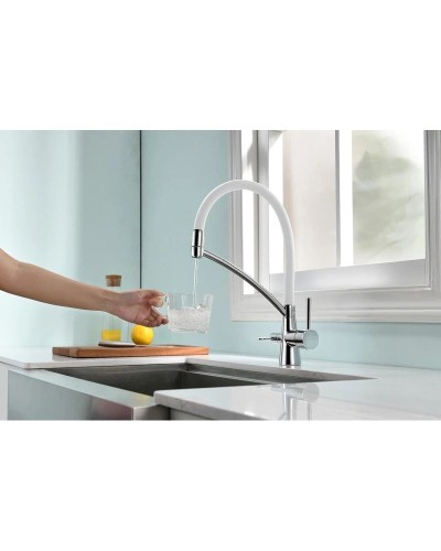 Смеситель для кухни с фильтром Paulmark Sigen SI213111-CRW + H851P00