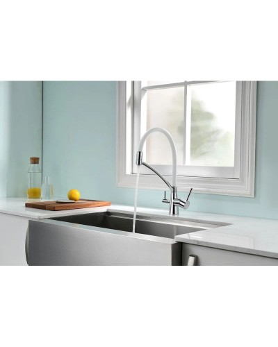 Смеситель для кухни с фильтром Paulmark Sigen SI213111-CRW + H851P00