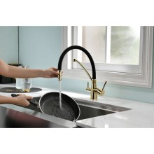 Смеситель для кухни с фильтром Paulmark Sigen SI213111-G + H851P00