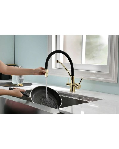 Смеситель для кухни с фильтром Paulmark Sigen SI213111-G + H851P00