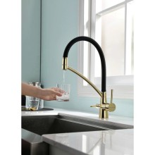 Смеситель для кухни с фильтром Paulmark Sigen SI213111-G + H851P00