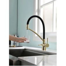 Смеситель для кухни с фильтром Paulmark Sigen SI213111-G + H851P00