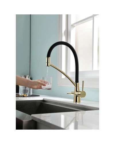 Смеситель для кухни с фильтром Paulmark Sigen SI213111-G + H851P00