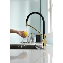 Смеситель для кухни с фильтром Paulmark Sigen SI213111-G + H851P00