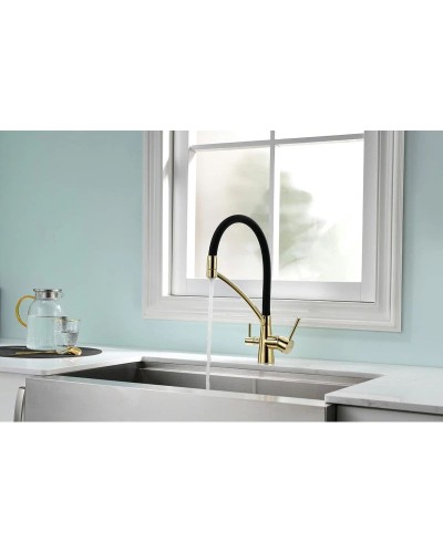 Смеситель для кухни с фильтром Paulmark Sigen SI213111-G + H851P00