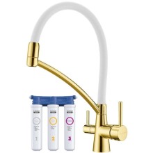 Смеситель для кухни с фильтром Paulmark Sigen SI213111-GW + H851P00