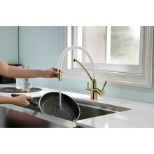 Смеситель для кухни с фильтром Paulmark Sigen SI213111-GW + H851P00