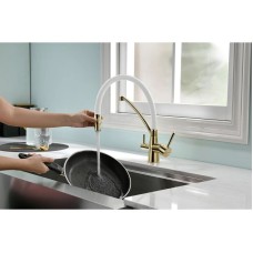 Смеситель для кухни с фильтром Paulmark Sigen SI213111-GW + H851P00