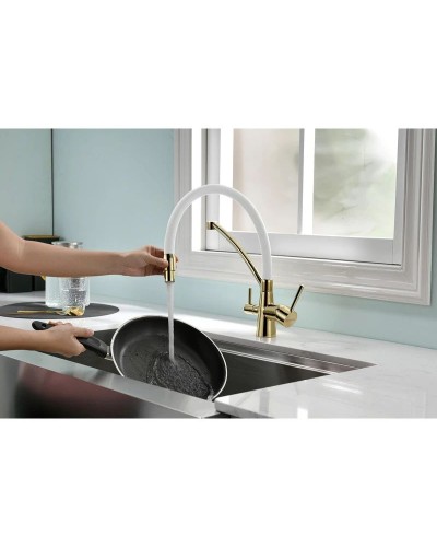 Смеситель для кухни с фильтром Paulmark Sigen SI213111-GW + H851P00