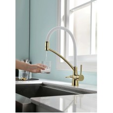 Смеситель для кухни с фильтром Paulmark Sigen SI213111-GW + H851P00