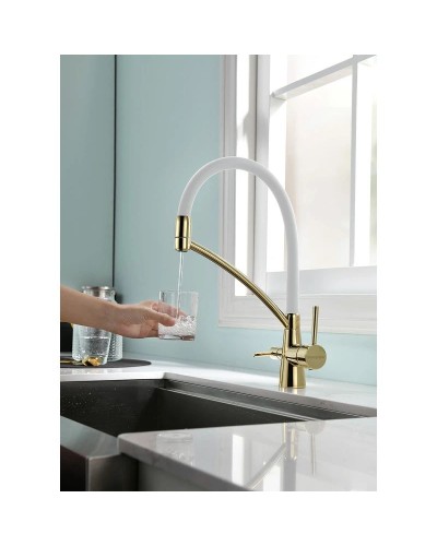 Смеситель для кухни с фильтром Paulmark Sigen SI213111-GW + H851P00