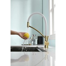 Смеситель для кухни с фильтром Paulmark Sigen SI213111-GW + H851P00