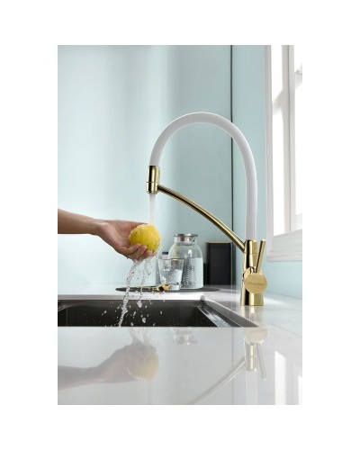 Смеситель для кухни с фильтром Paulmark Sigen SI213111-GW + H851P00