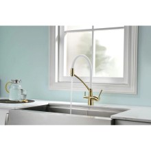 Смеситель для кухни с фильтром Paulmark Sigen SI213111-GW + H851P00