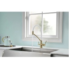 Смеситель для кухни с фильтром Paulmark Sigen SI213111-GW + H851P00