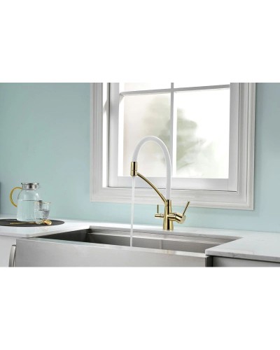 Смеситель для кухни с фильтром Paulmark Sigen SI213111-GW + H851P00