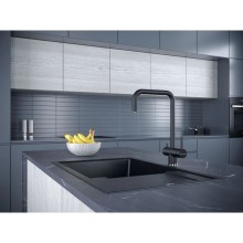 Смеситель для кухни с фильтром Paulmark Wetter WE213030-418 + H851P00