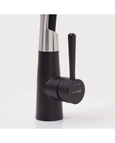 Смеситель для кухни WasserKRAFT A8417