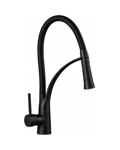 Смеситель для кухни Rea Gaspar REA-B0233