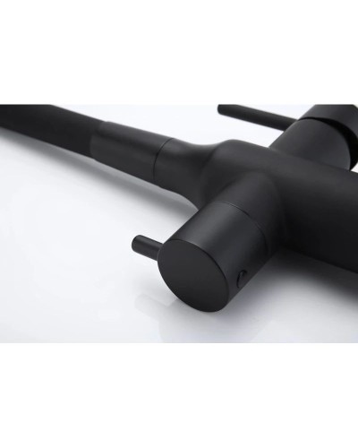 Смеситель для кухни с подключением к фильтру Paulmark Salix Sa213419-401