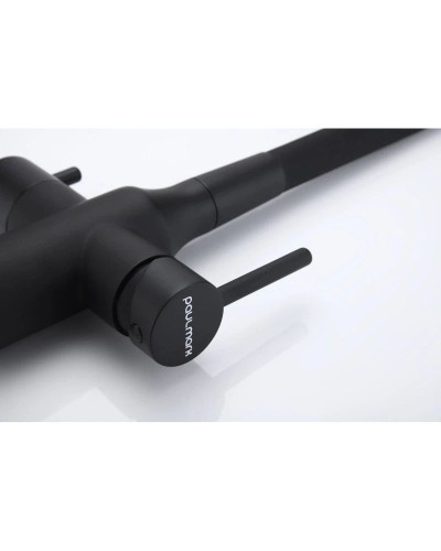 Смеситель для кухни с подключением к фильтру Paulmark Salix Sa213419-401