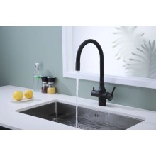 Смеситель для кухни с подключением к фильтру Paulmark Salix Sa213419-401